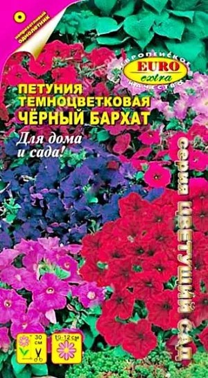 Петуния крупноцв. Черный бархат 5шт ГШ