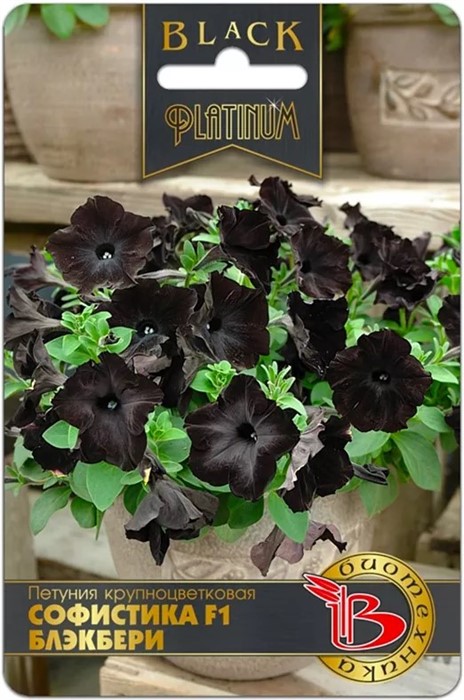 Петуния Софистика F1 Блэкбери 6шт Б/техника