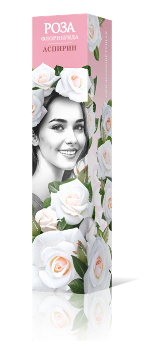 Роза флорибунда Аспирин Садовита