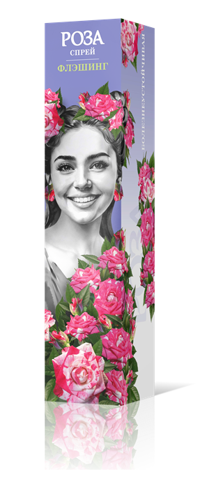 Роза спрей Флэшинг Садовита