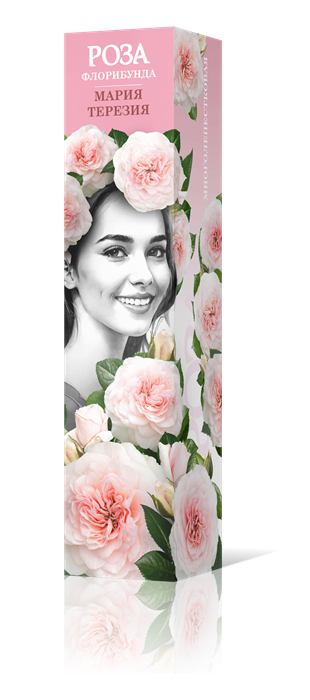 Роза флорибунда Мария Терезия Садовита