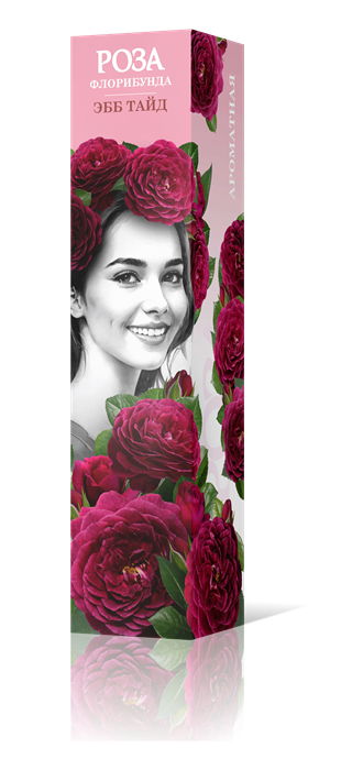 Роза флорибунда Эбб Тайд Садовита