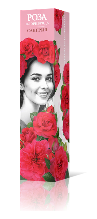 Роза флорибунда Сангрия Садовита