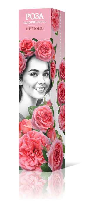 Роза флорибунда Кимоно Садовита