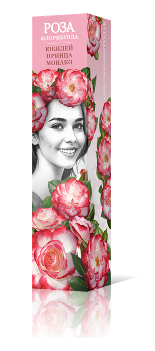 Роза флорибунда Юбилей Принца Монако Садовита