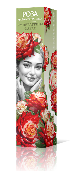 Роза чайно-гибридная Императрица Фарах Садовита