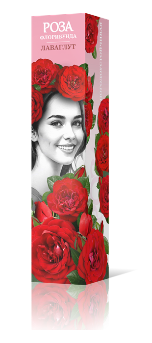 Роза флорибунда Лаваглут Садовита