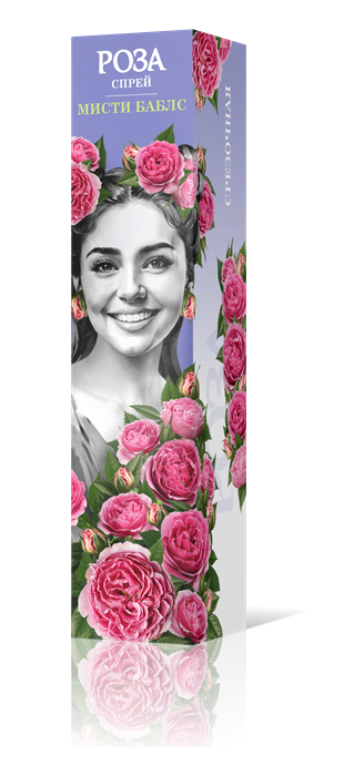 Роза спрей Мисти баблс Садовита
