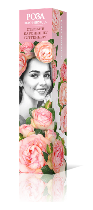 Роза флорибунда Стефани Баронин цу Гуттенберг Садовита