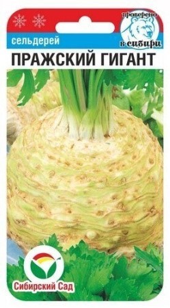 Сельдерей Пражский гигант корневой 0.5г Сиб сад