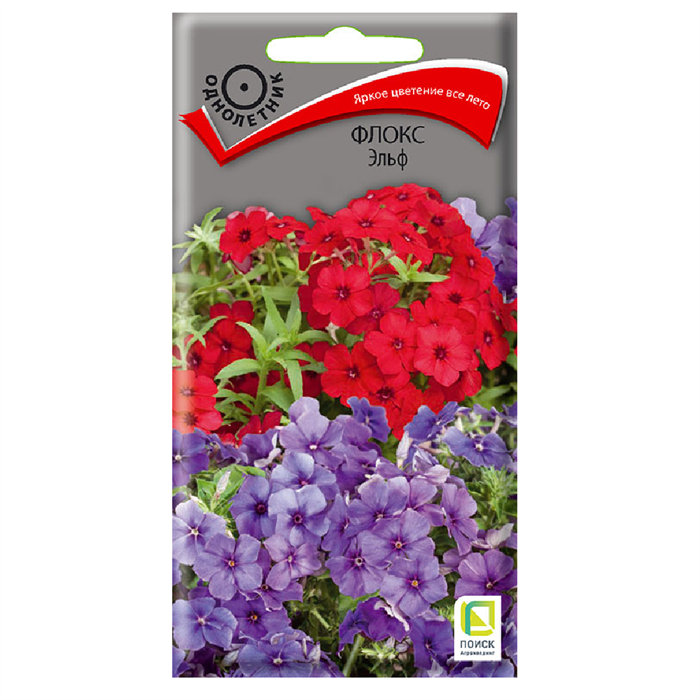 Флокс друммонда Эльф 0,1гр Поиск
