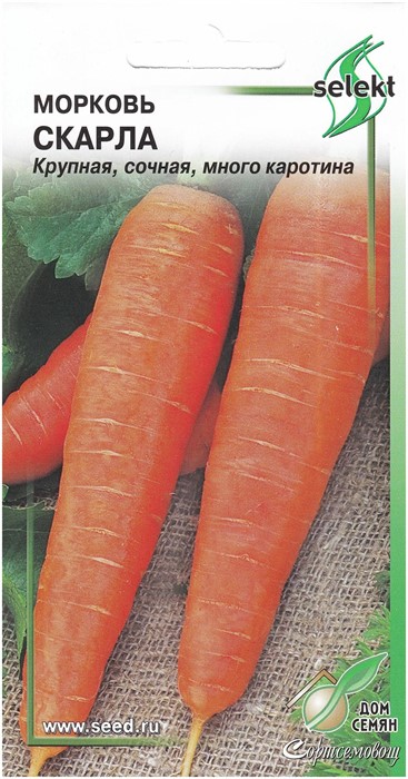Морковь "Скарла", 650 шт ДС