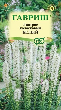Лиатрис Белый Гавриш