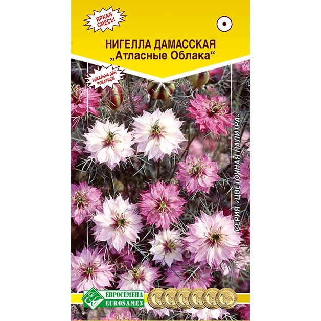 Нигелла дамасская Атласные облака