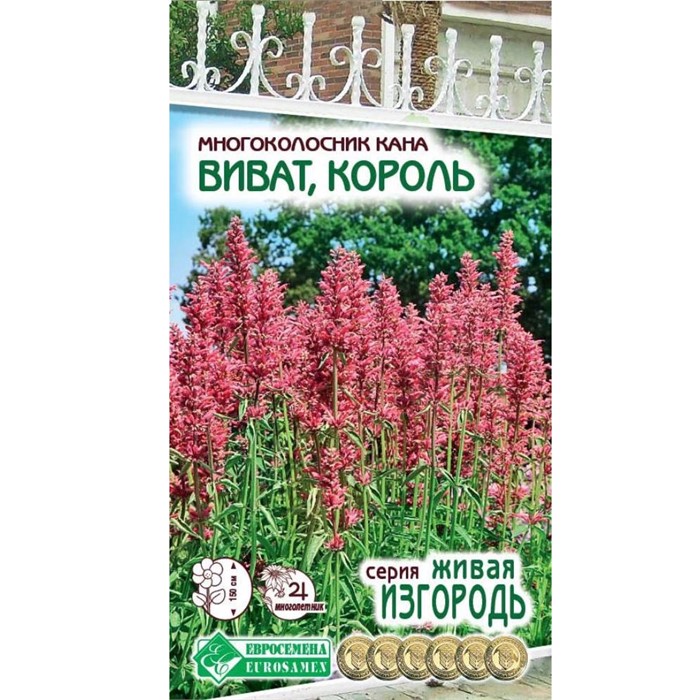Многоколосник кана Виват Король 10шт ЕвроСем_Б