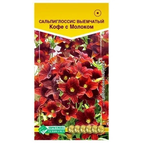 Сальпиглоссис Кофе с молоком 5шт ЕвроСем