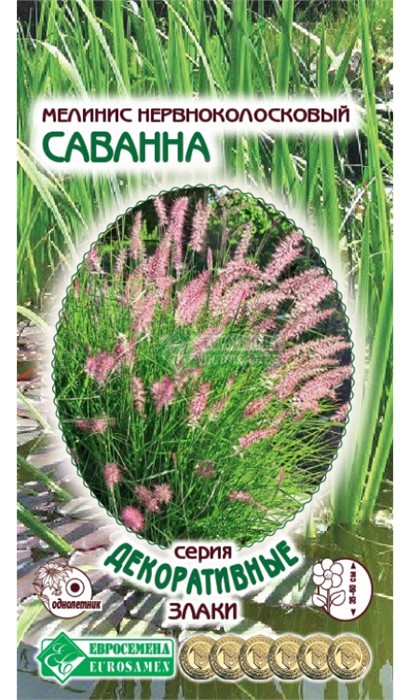 Мелинис Саванна нервноколосковый 5шт ЕвроСем