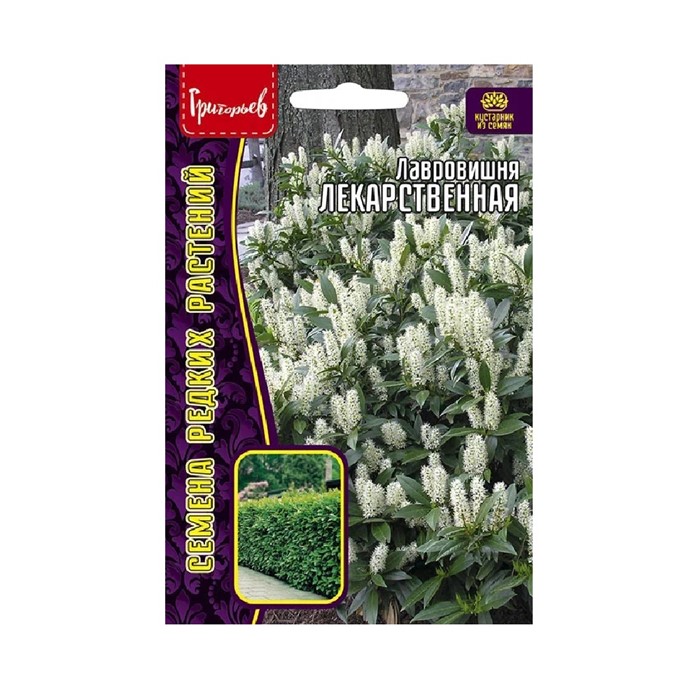 Лавровишня Лекарственная 3 шт.Григорьев