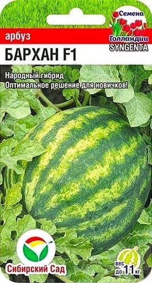 Арбуз Бархан F1 4шт СС