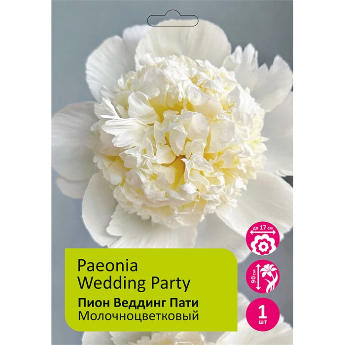 Пион Веддинг Пати 1шт 2/3 / Wedding Party (Hun li pai dui/Хунь Ли Пай Дуй)