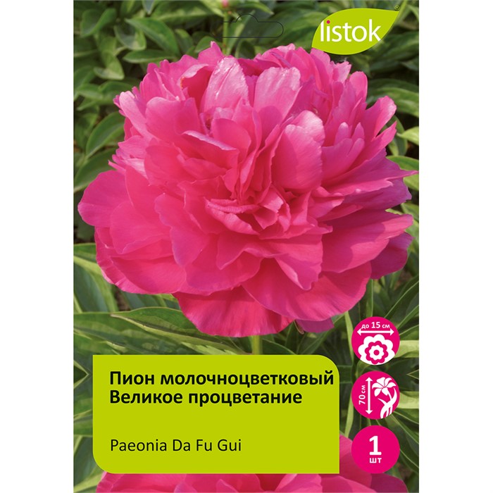 Пион молочноцветковый Великое процветание 1шт/Paeonia Da Fu Gui