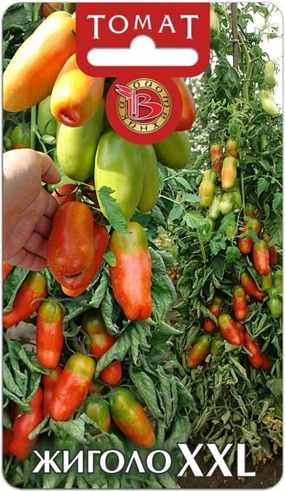 Томат Жиголо XXL Биотехника