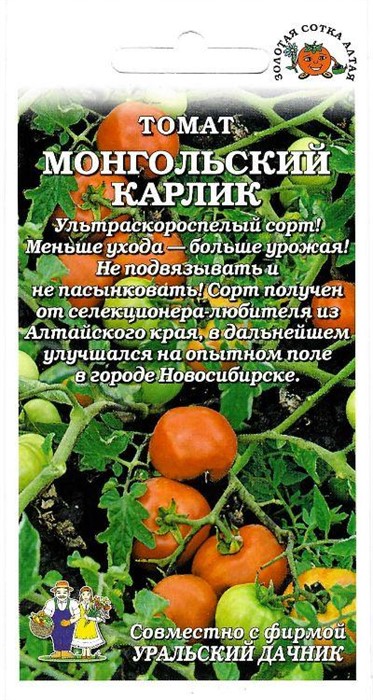 Томат Монгольский Карлик (Золотая сотка)