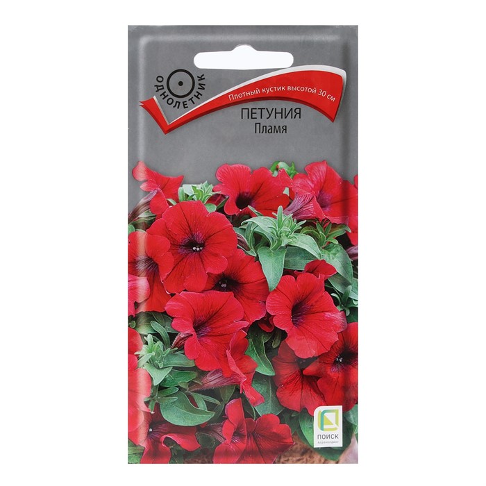 Петуния Пламя 0,1гр Поиск