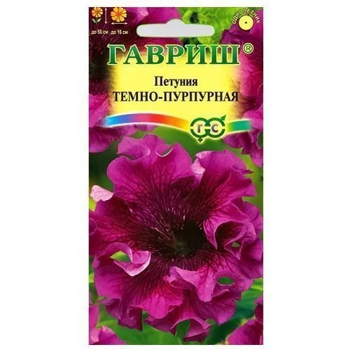 Петуния Темно-пурпурная Гавриш
