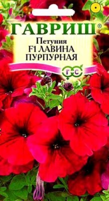 Петуния ампельная Лавина пурпурная F1 10шт ГШ