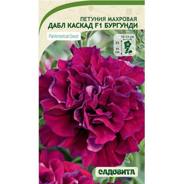 Петуния Дабл каскад F1 Бургунди 10др PA/Садовита