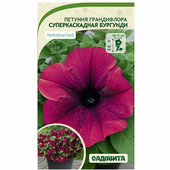 Петуния Суперкаскадная F1 Бургунди грандифлора 10др PanAmerican/Садовита