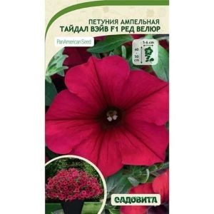 Петуния Тайдал Вэйв F1 Ред Велюр 5др ампельная Садовита