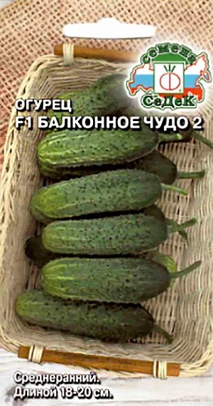 Огурец Балконное чудо 2 F1 0,2гр Седек