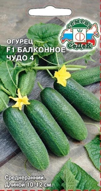 Огурец Балконное чудо 4 F1 0,2гр Седек