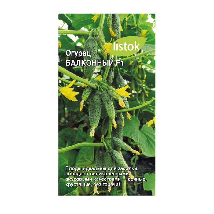 Огурец Балконный 5 шт Листок