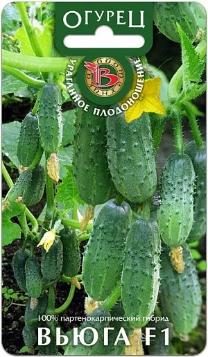 Огурец Вьюга F1 8шт Биотехника