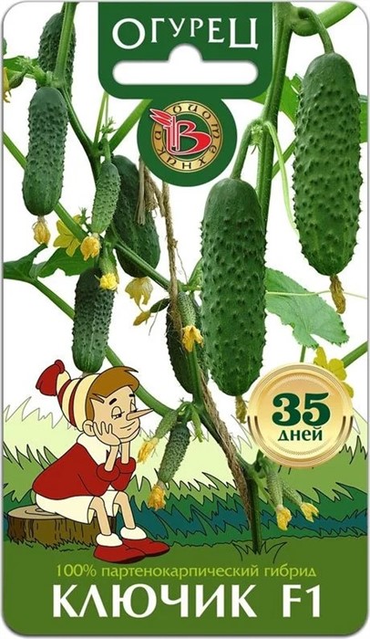 Огурец Ключик F1 8шт Биотех