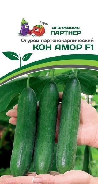 Огурец Кон Амор F1 5шт Партнер