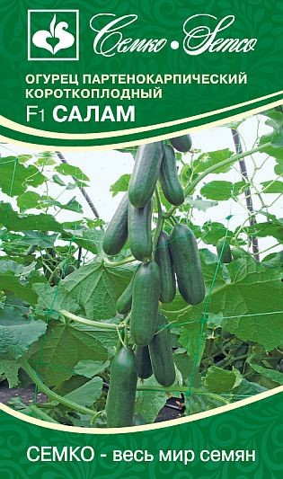 Огурец Салам F1 10шт Семко