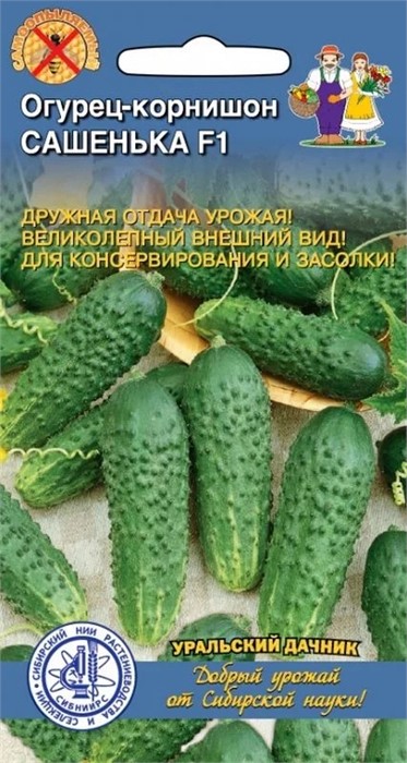 Огурец Сашенька F1 10шт Ур. дачник