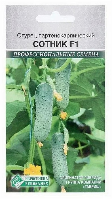 Огурец Сотник F1 партенокарпик 5шт Евросем