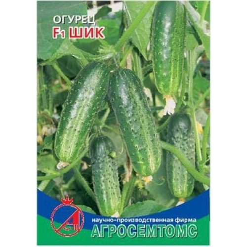Огурец Шик 8шт Киров