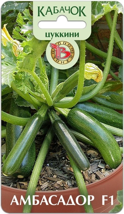 Кабачок Амбасадор цуккини F1 5шт Биотехника