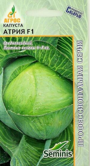 Капуста бк Атрия F1 15шт Seminis (Агрос)
