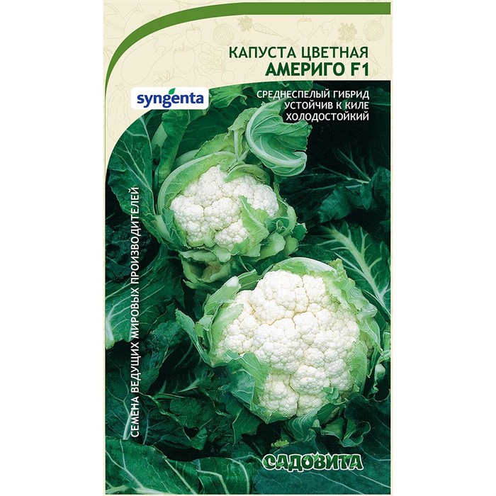 Капуста цветная Америго F1 10шт Syngenta/Садовита
