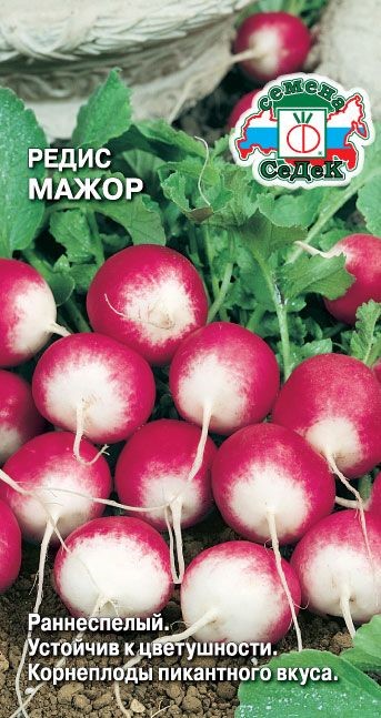Редис Мажор 3г Седек
