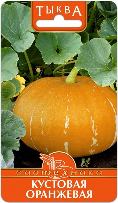 Тыква Кустовая Оранжевая 6шт Биотехника