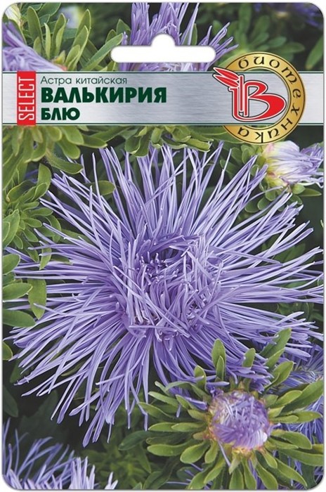 Астра Валькирия селект Блю 30шт Биотехника