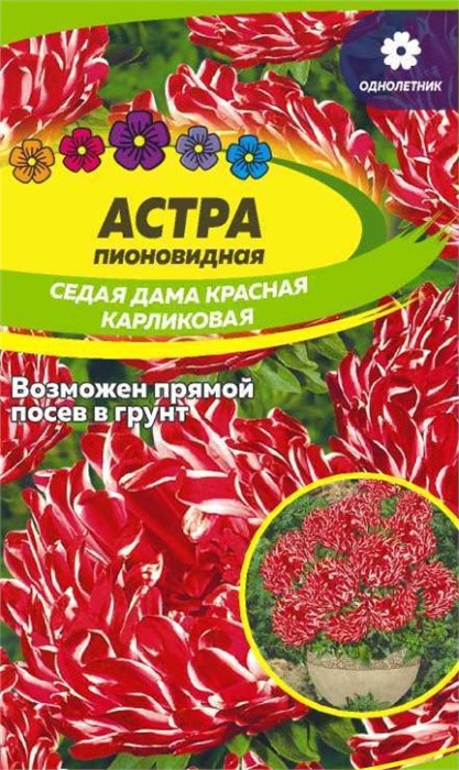 Астра Седая Дама Красная карликовая 0,1гр СС